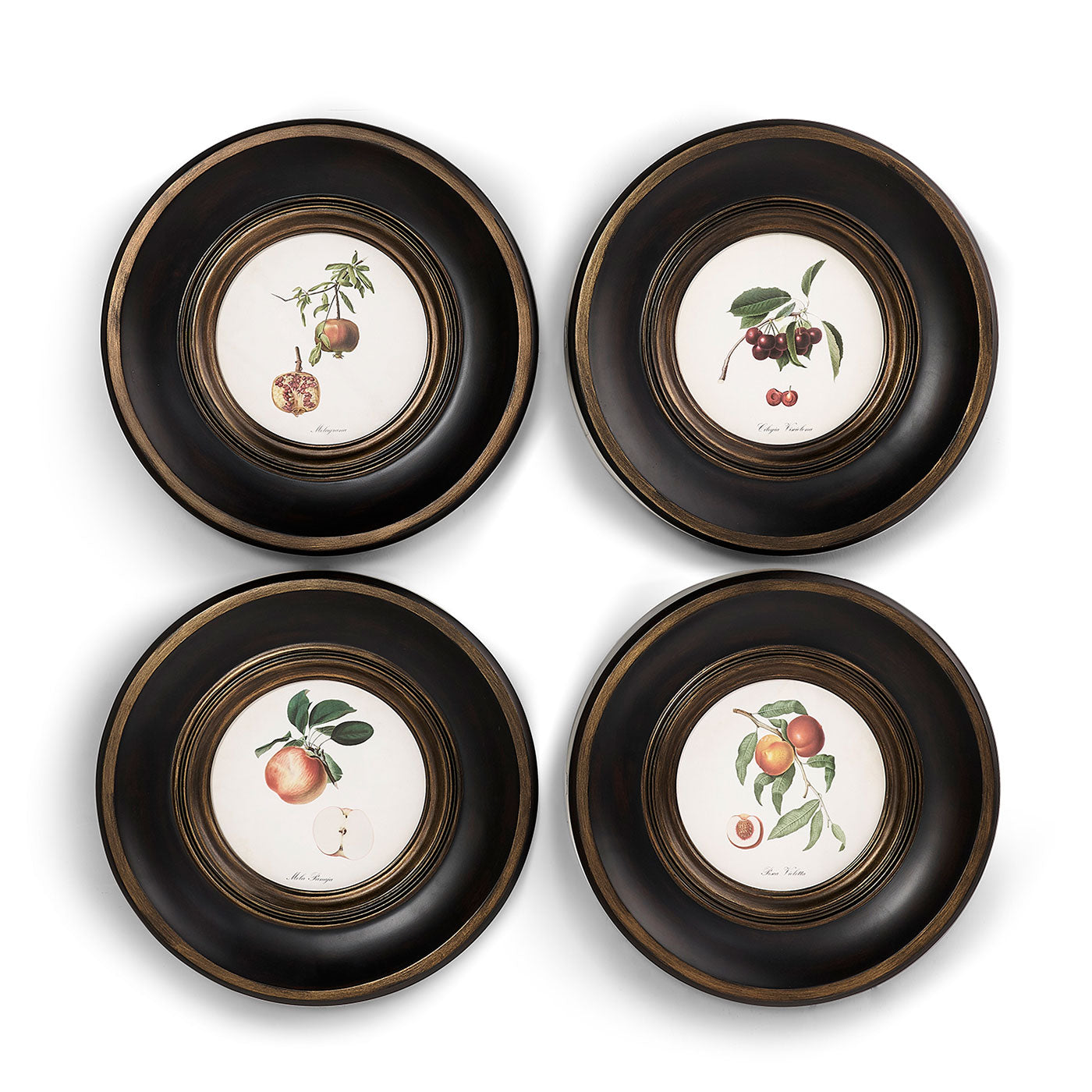 Vintage Fruit No. 2 - Set of 4