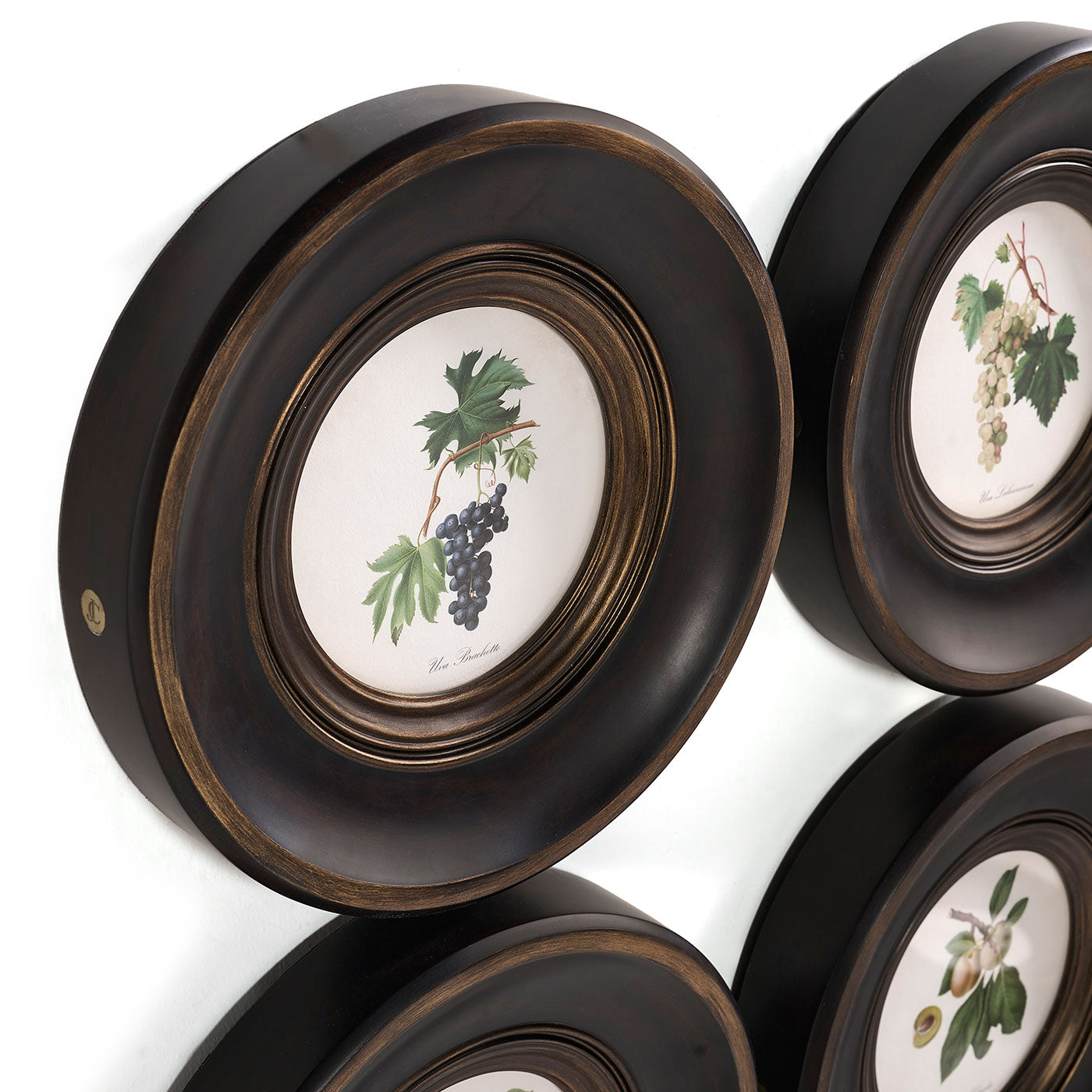 Vintage Fruit No. 3 - Set of 4