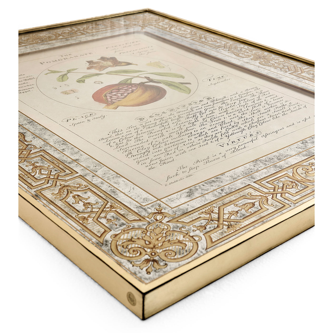 Herbal of Enlightenment - Set of 4