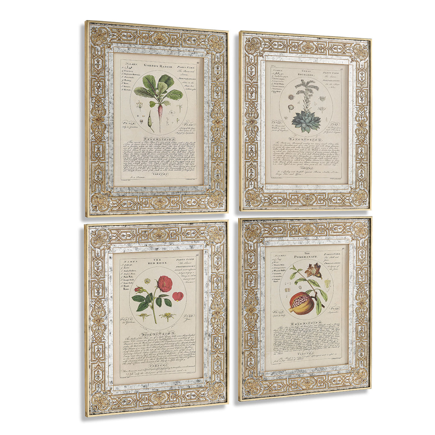 Herbal of Enlightenment - Set of 4