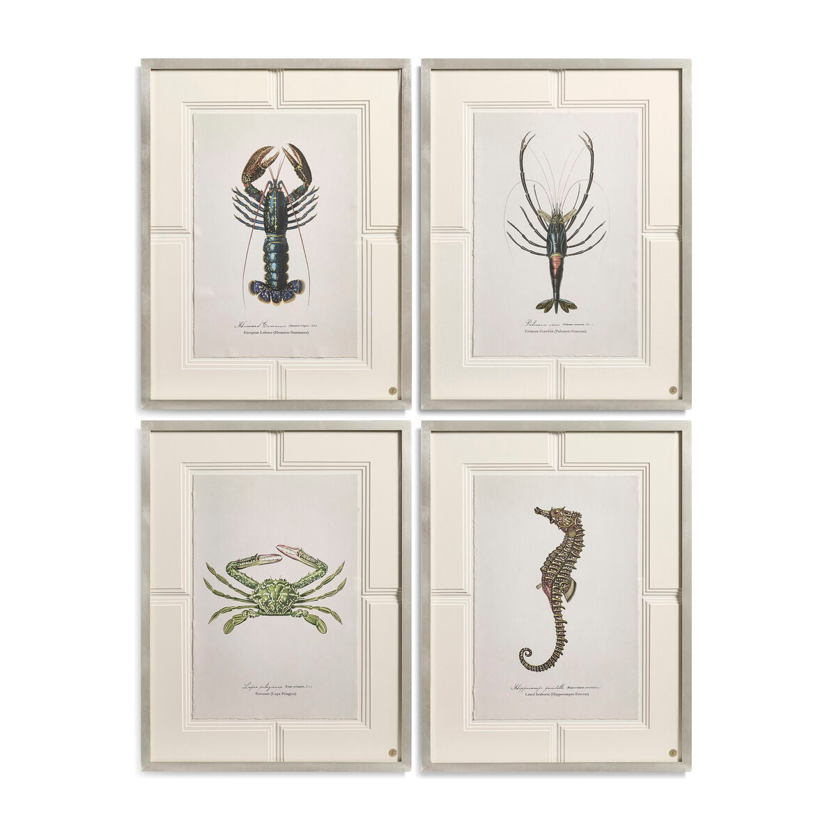Vintage Marine Animals - Set of 4