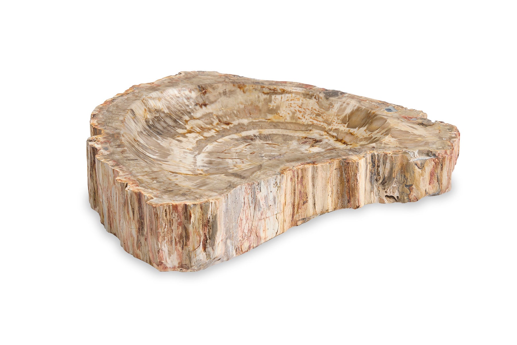 Large Brown Petrified Bowl