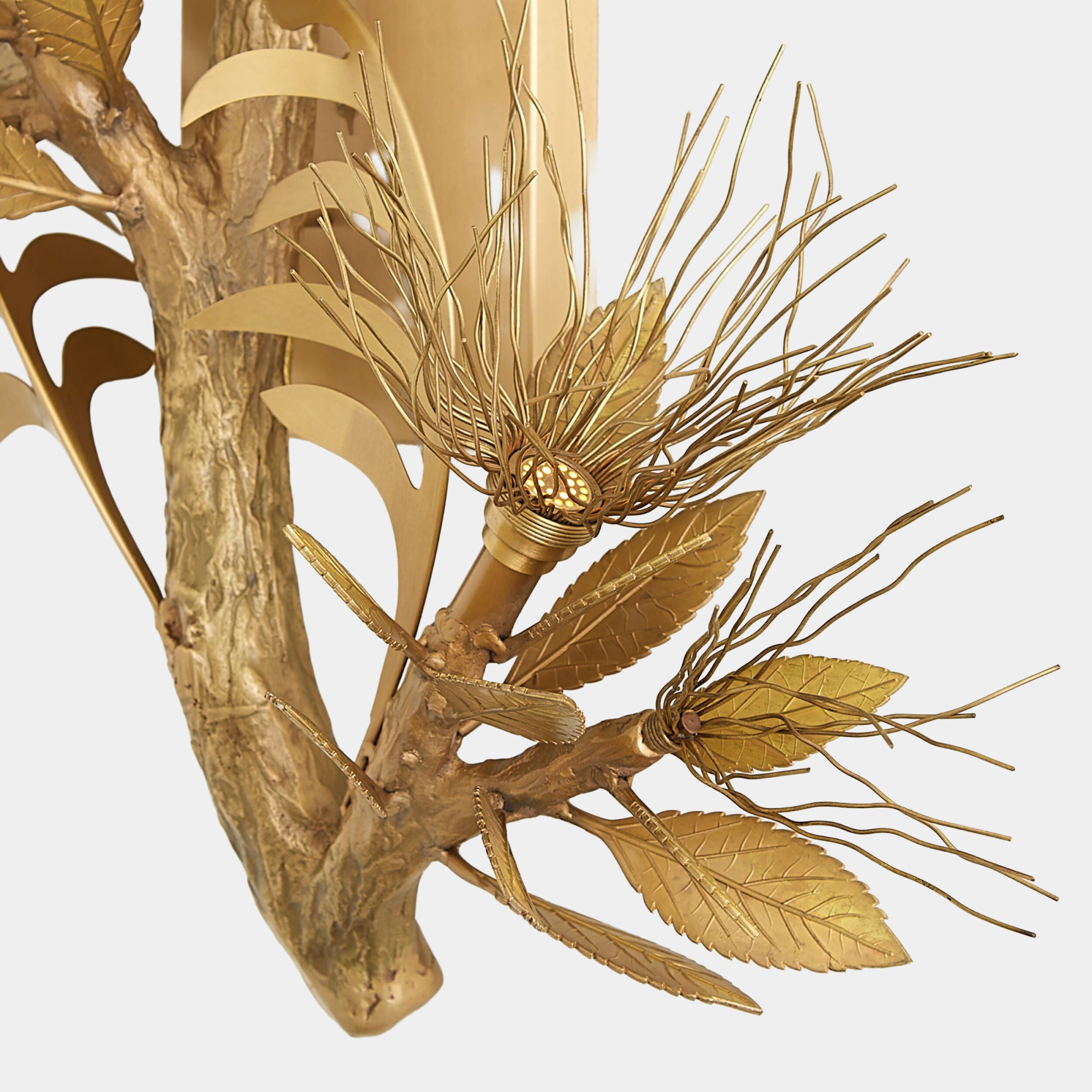 Albizia Wall Sconce