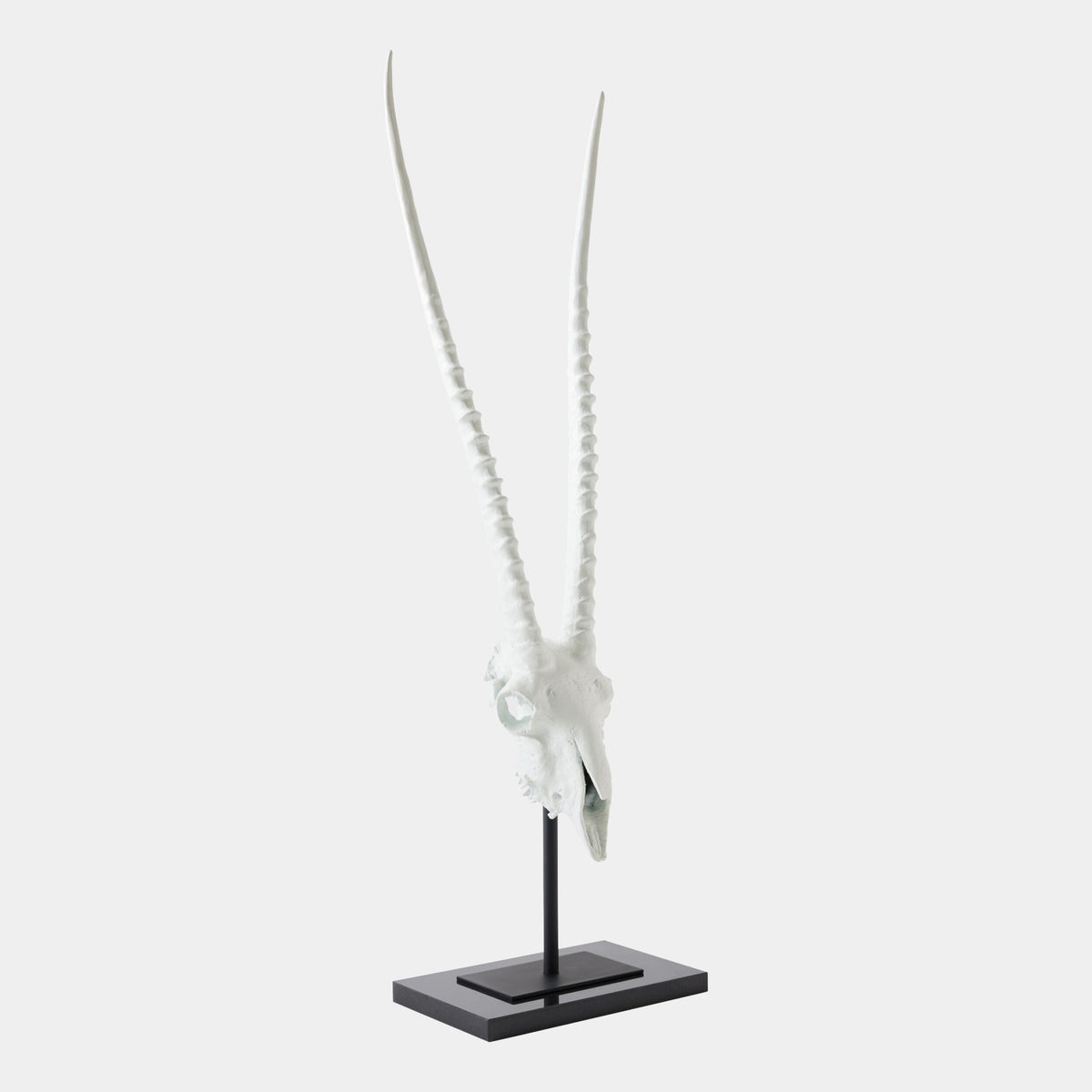 Gemsbok Skull Sculpture-Matte White