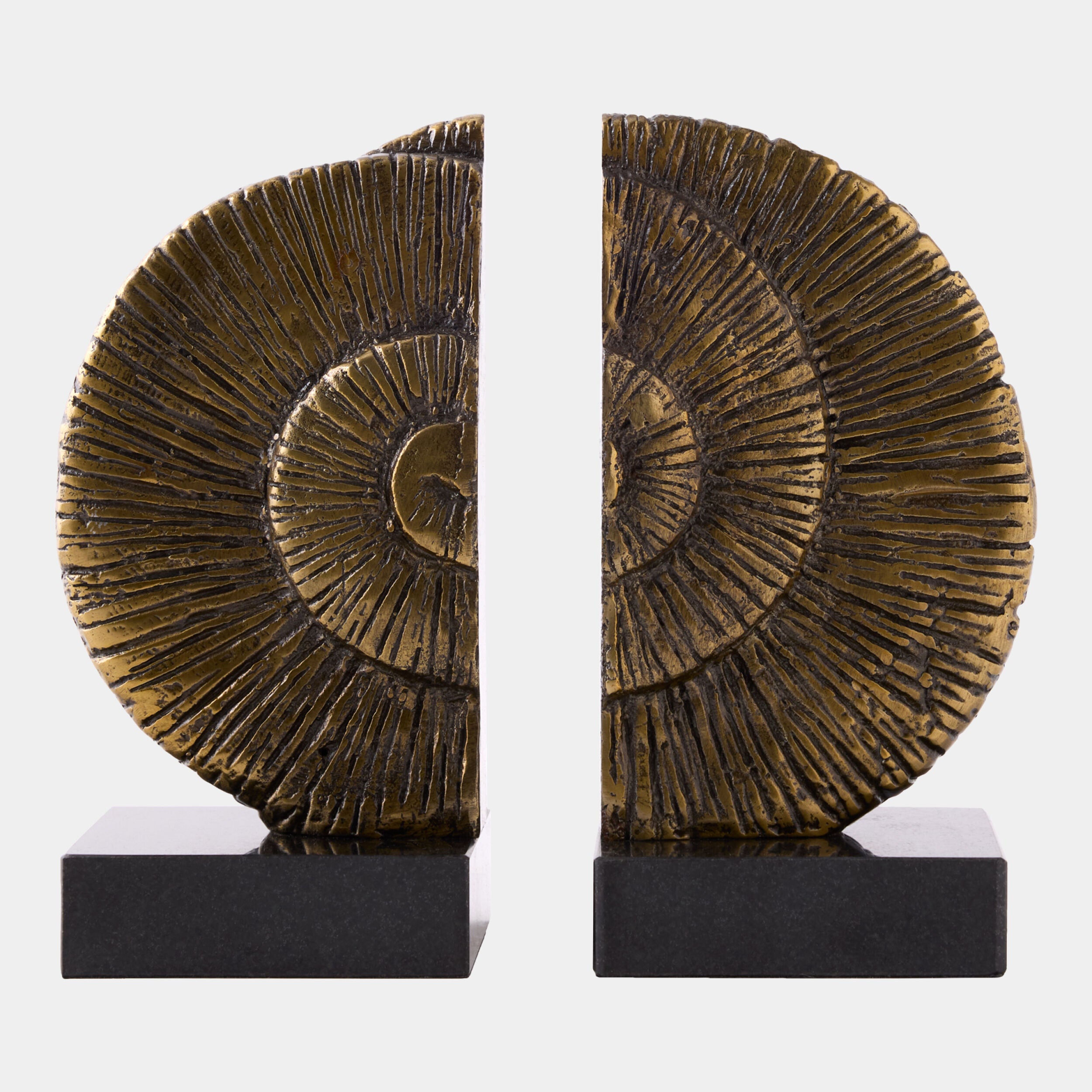 Ammonite Shell Bookends