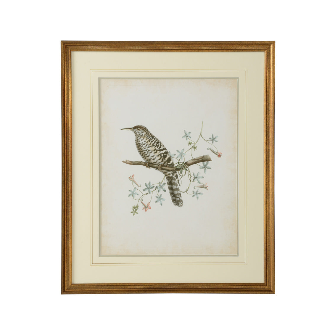 Delicate Birds IV in 26 / Giclee - Chelsea House