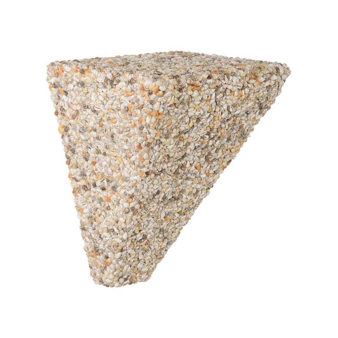 Shell Bracket - Natural in 12 / Nassa Shell - Chelsea House