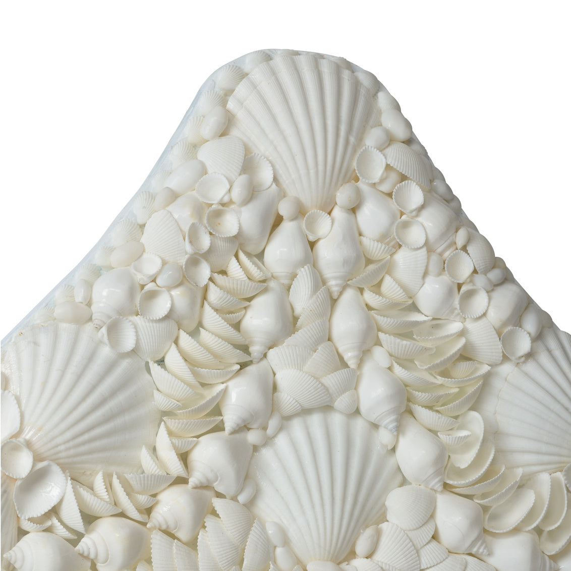 Shell Mirror in 49 / Nassa Shell - Chelsea House