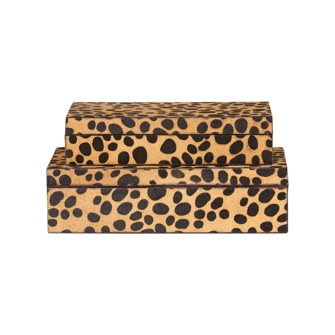Leopard Boxes (S2)