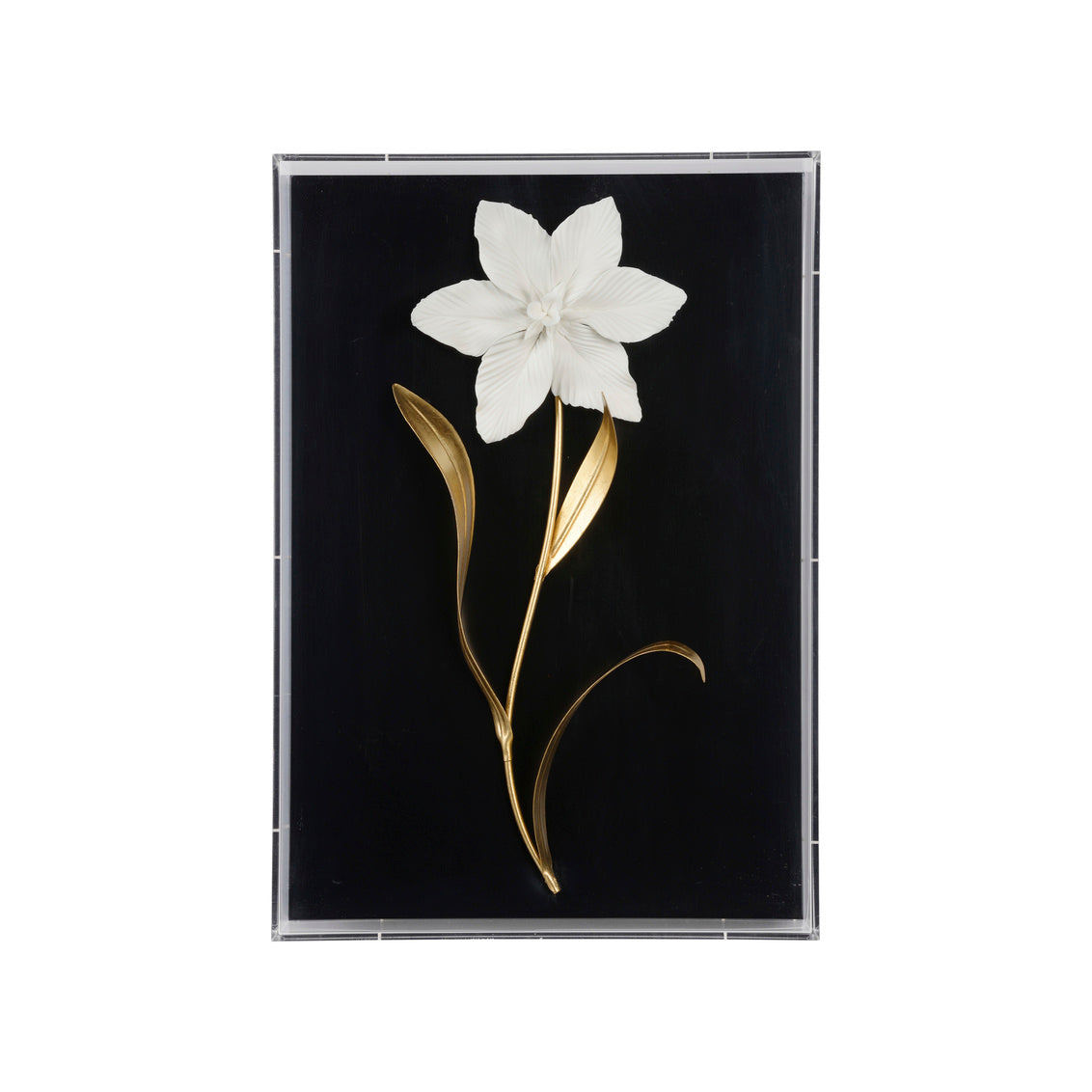 Porcelain Flower Black - A in 20 / Acrylic - Chelsea House