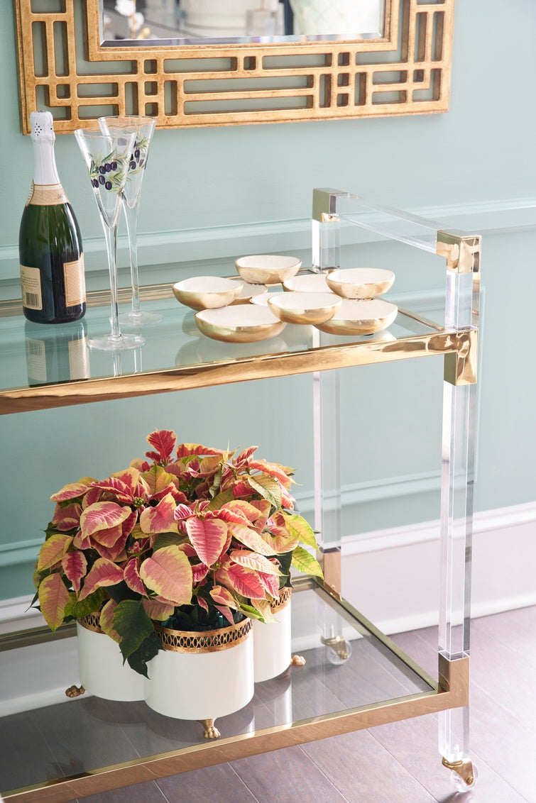Acrylic Bar Cart - Brass in 34.5 / Acrylic - Chelsea House