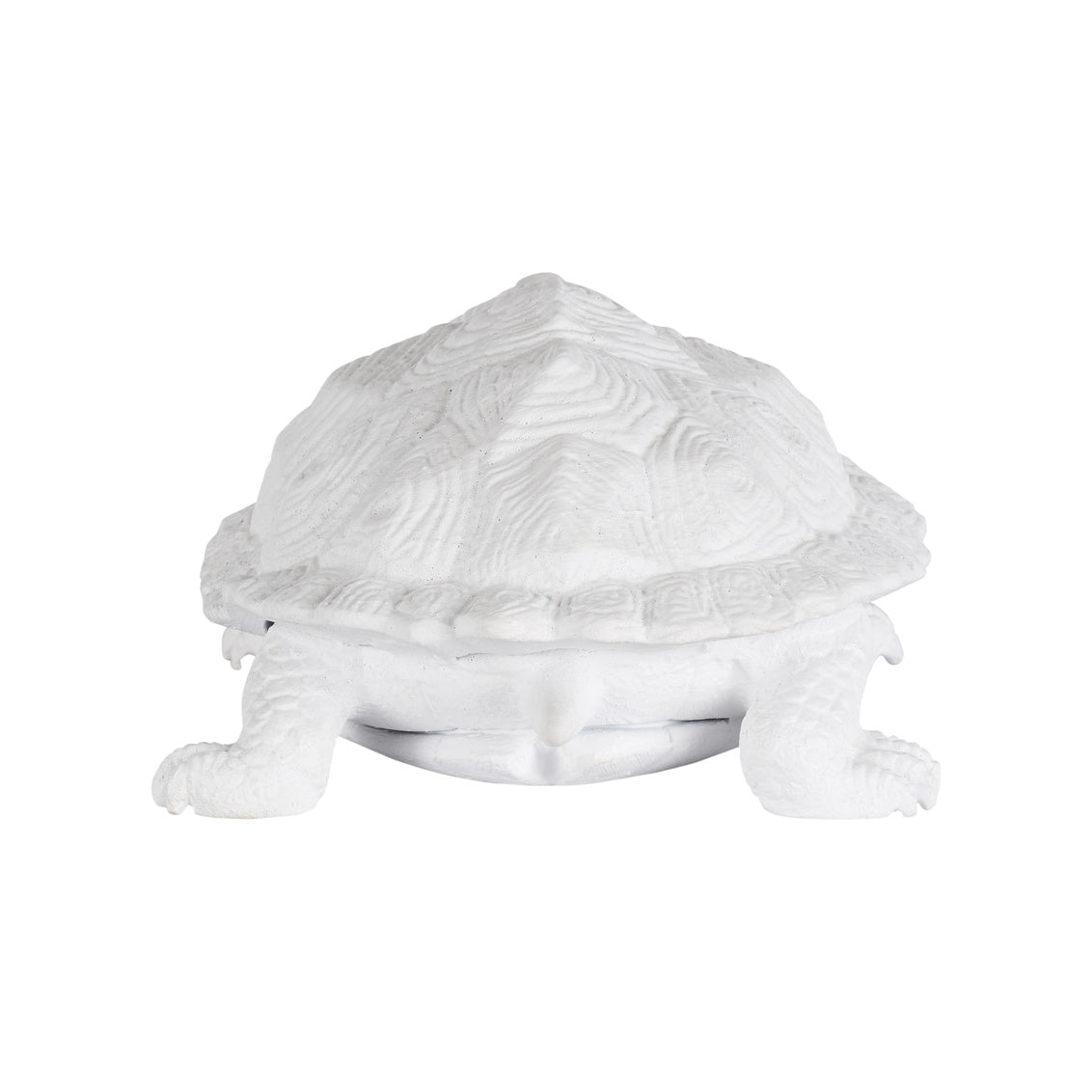 Turtle - White in White / Metal - Chelsea House
