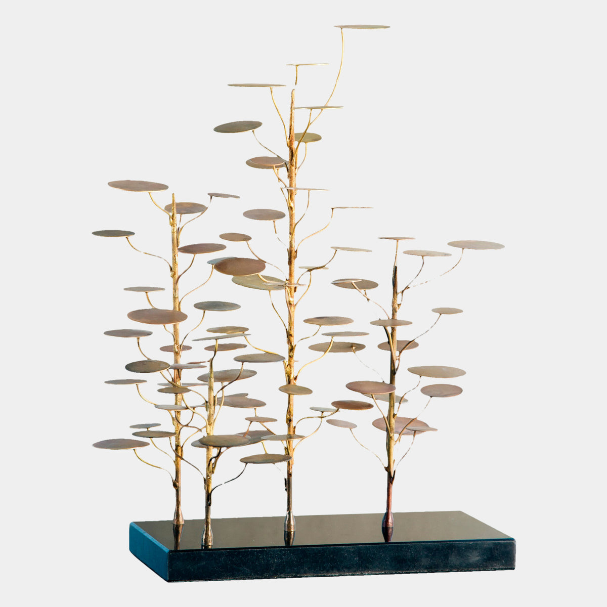 Eucalyptus Tree