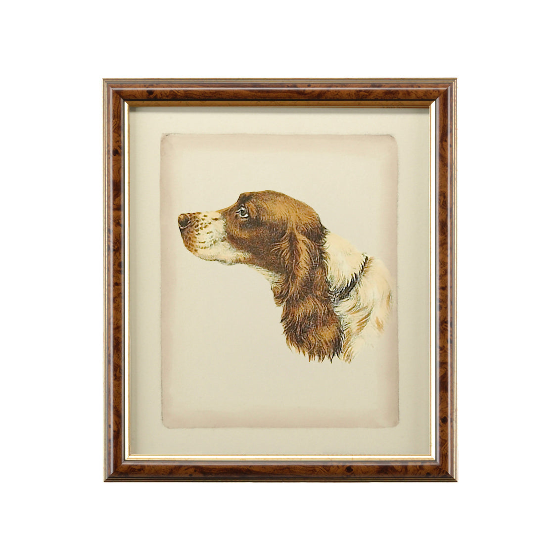 Danchin Cocker Spaniel in 18 / Wood - Chelsea House