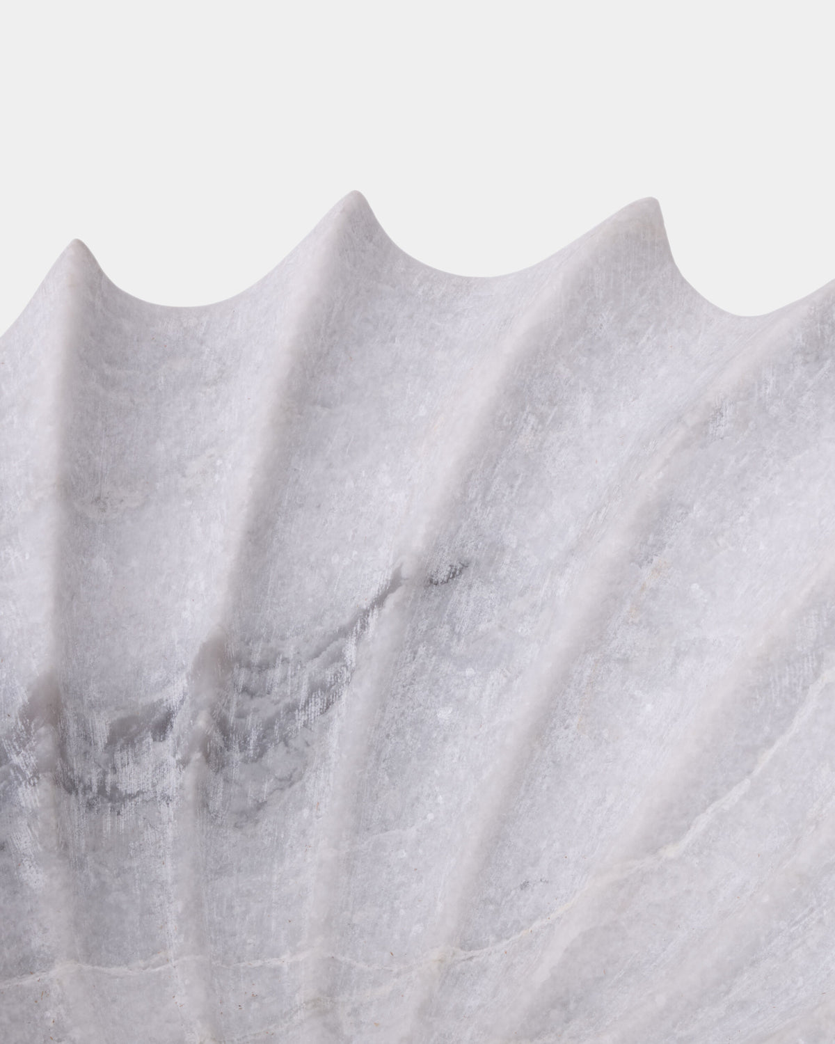 Turbinio Shell Bowl-White