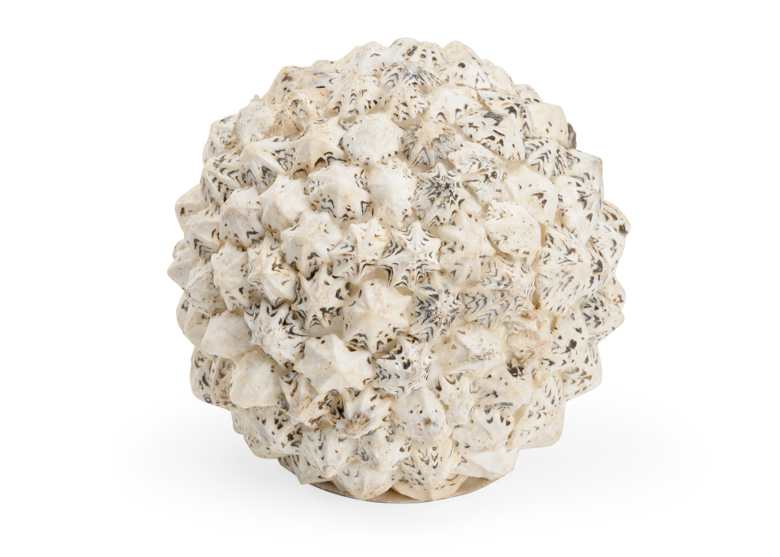 Shell Ball (Med) in 4.5 / Shell - Chelsea House