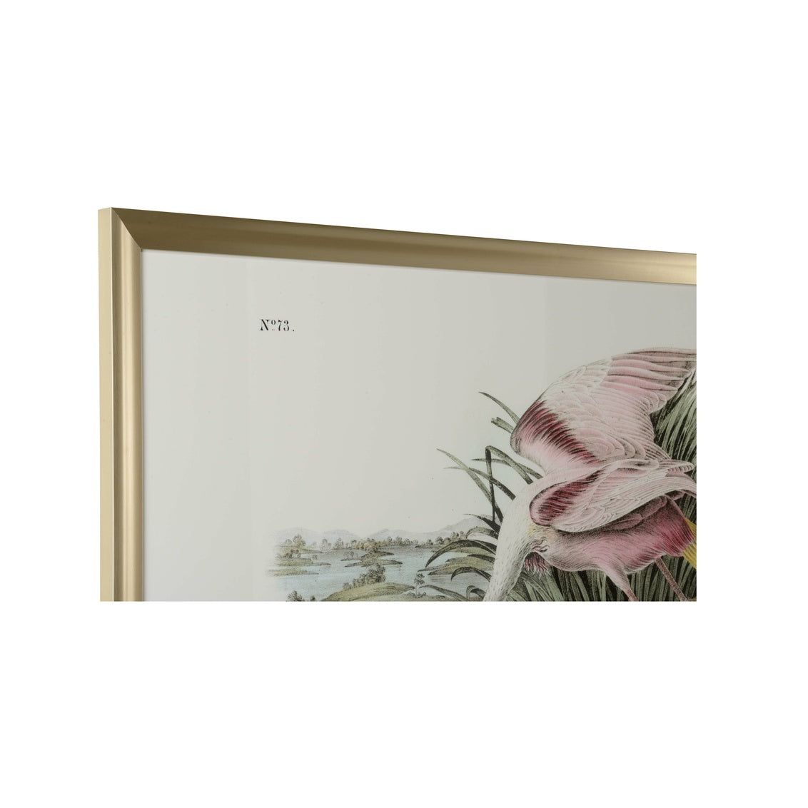 Roseate Spoonbill in 35h x 51w x 1.25d / Giclee - Chelsea House