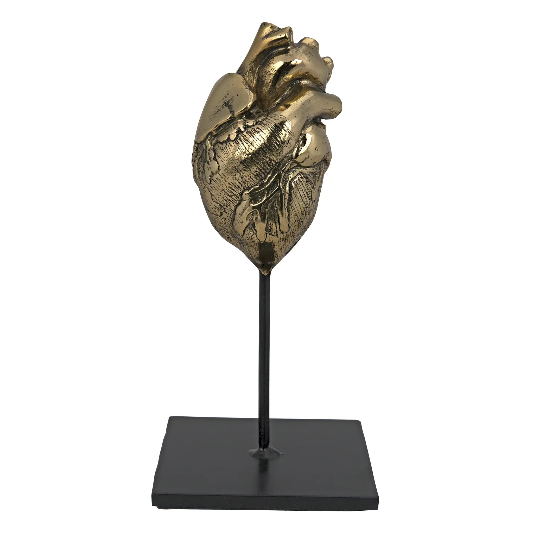 Heart, Brass and Iron in Antique Brass W/ Matte Black Base — Noir Furniture