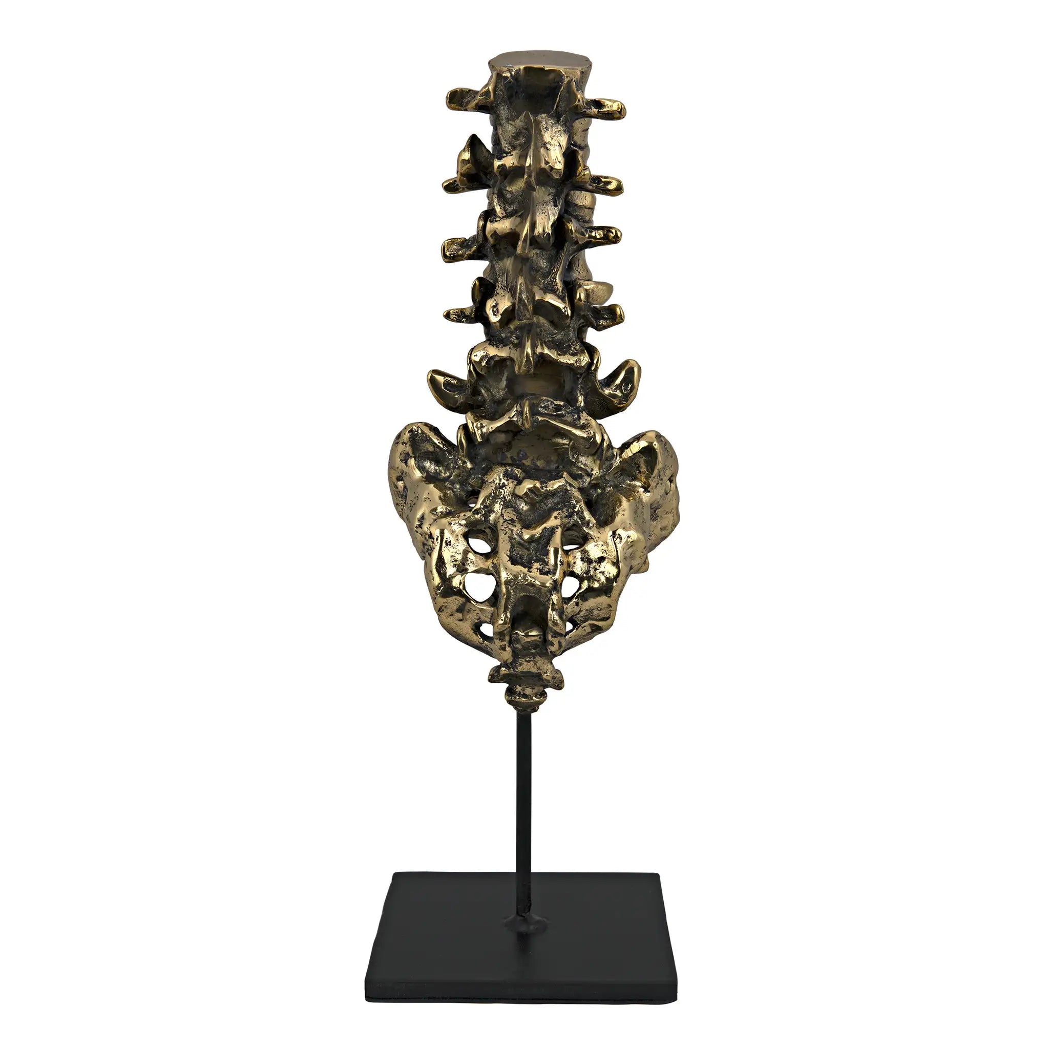 Vertebrae, Brass and Iron in Antique Brass W/ Matte Black Base — Noir Furniture