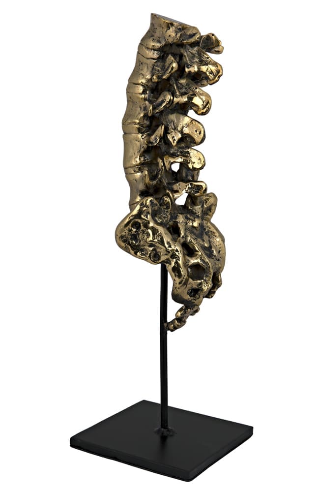 Vertebrae, Brass and Iron in Antique Brass W/ Matte Black Base — Noir Furniture