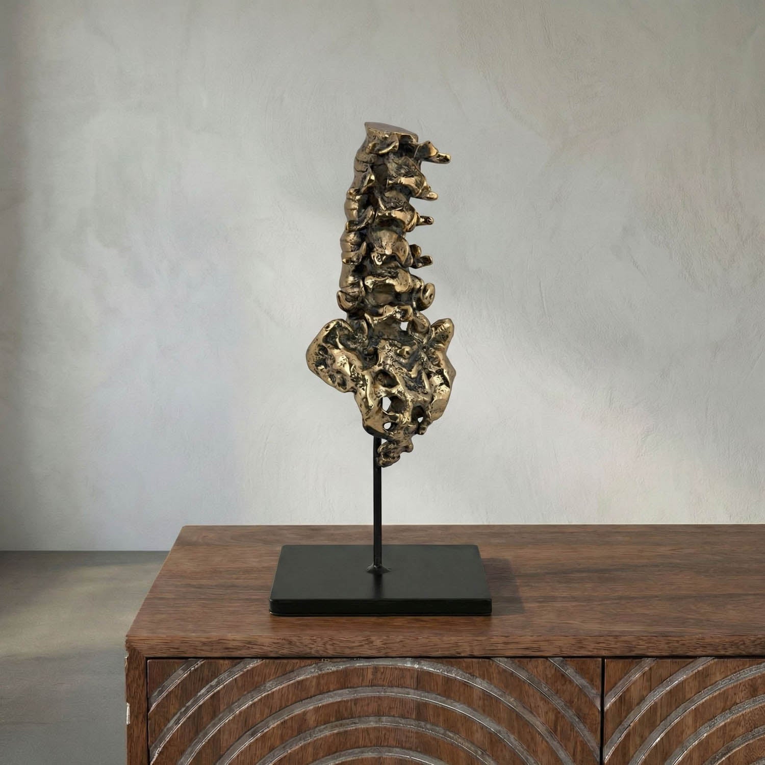 Vertebrae, Brass and Iron by Noir