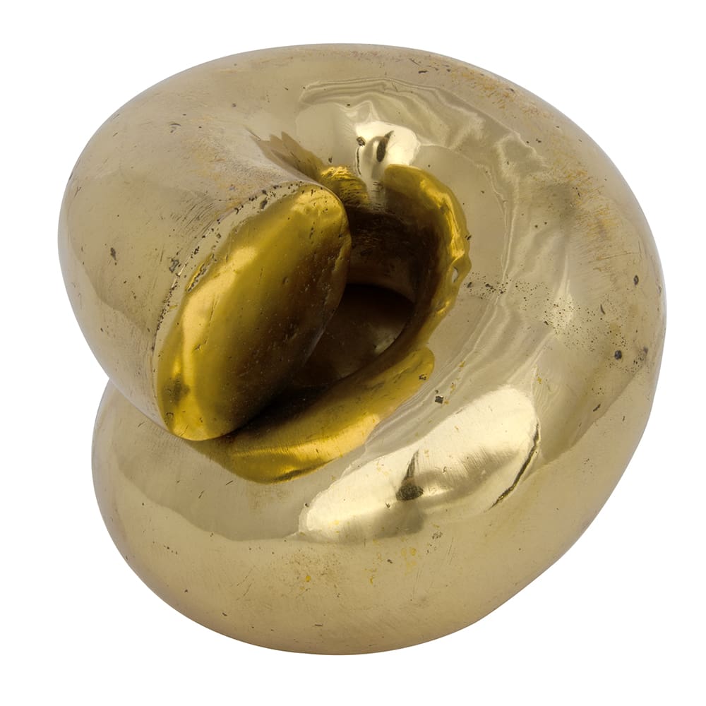 Coiled, Brass in Antique Brass — Noir Furniture