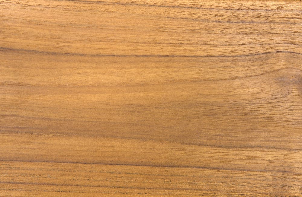 Buraco Relax Chair, Teak in Clear coat Gloss — Noir Furniture