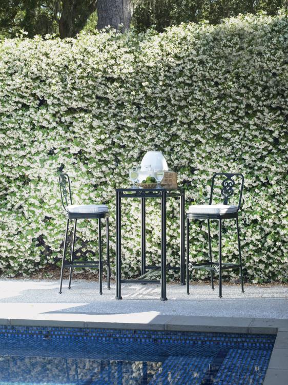 Augustine Metal Bar Stool – Bar & Counter Stools by Century Furniture | Sutter & Vale