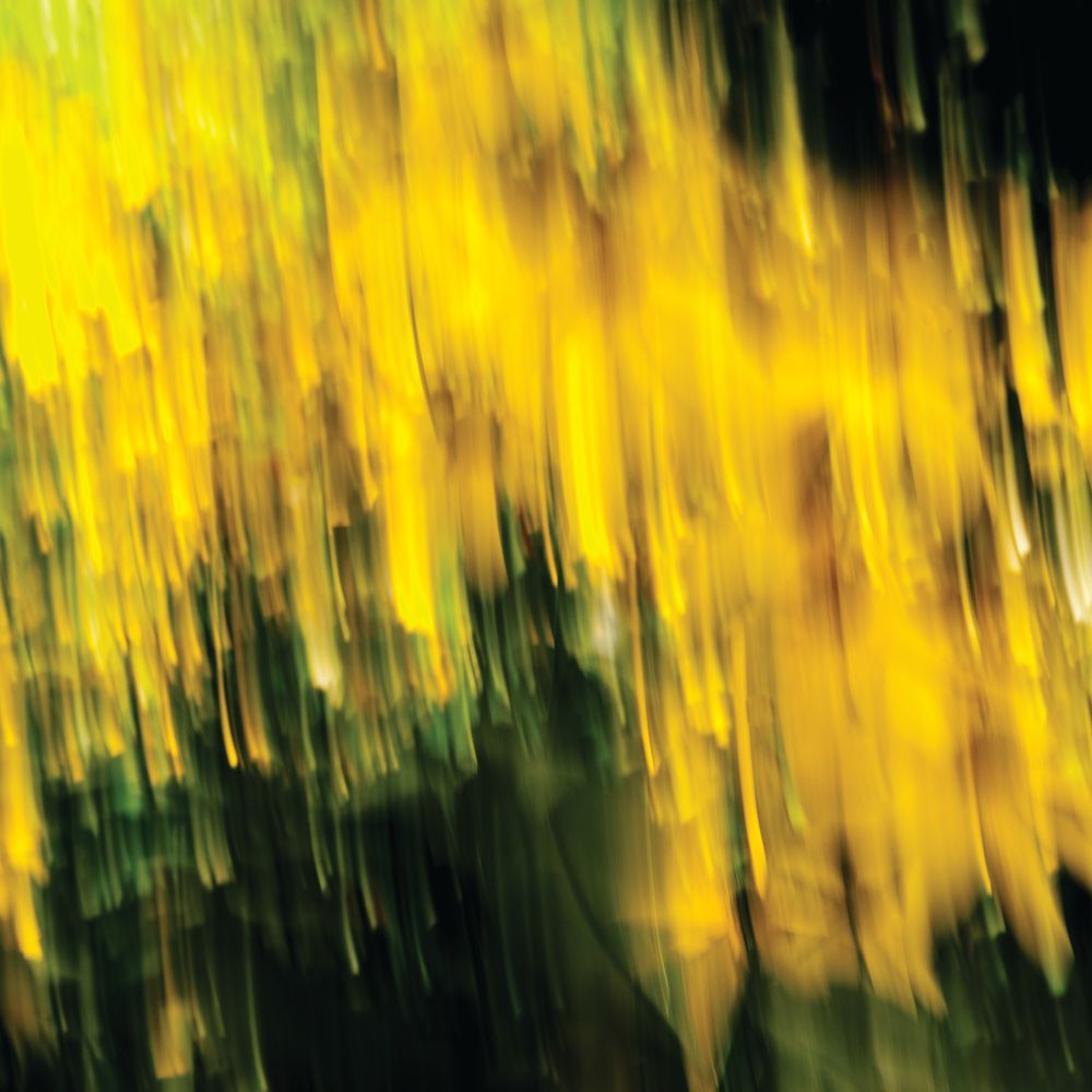 Intimation of Joy 1 artwork