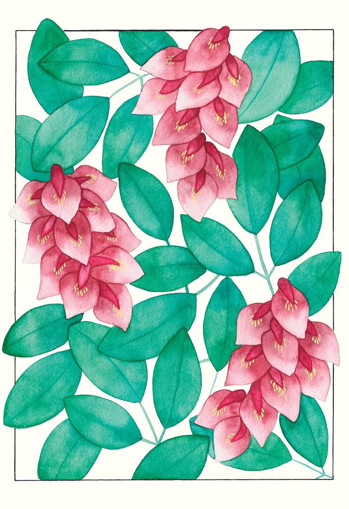 Ceibo 1 artwork