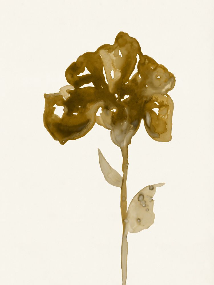 Sepia Studies 3 artwork
