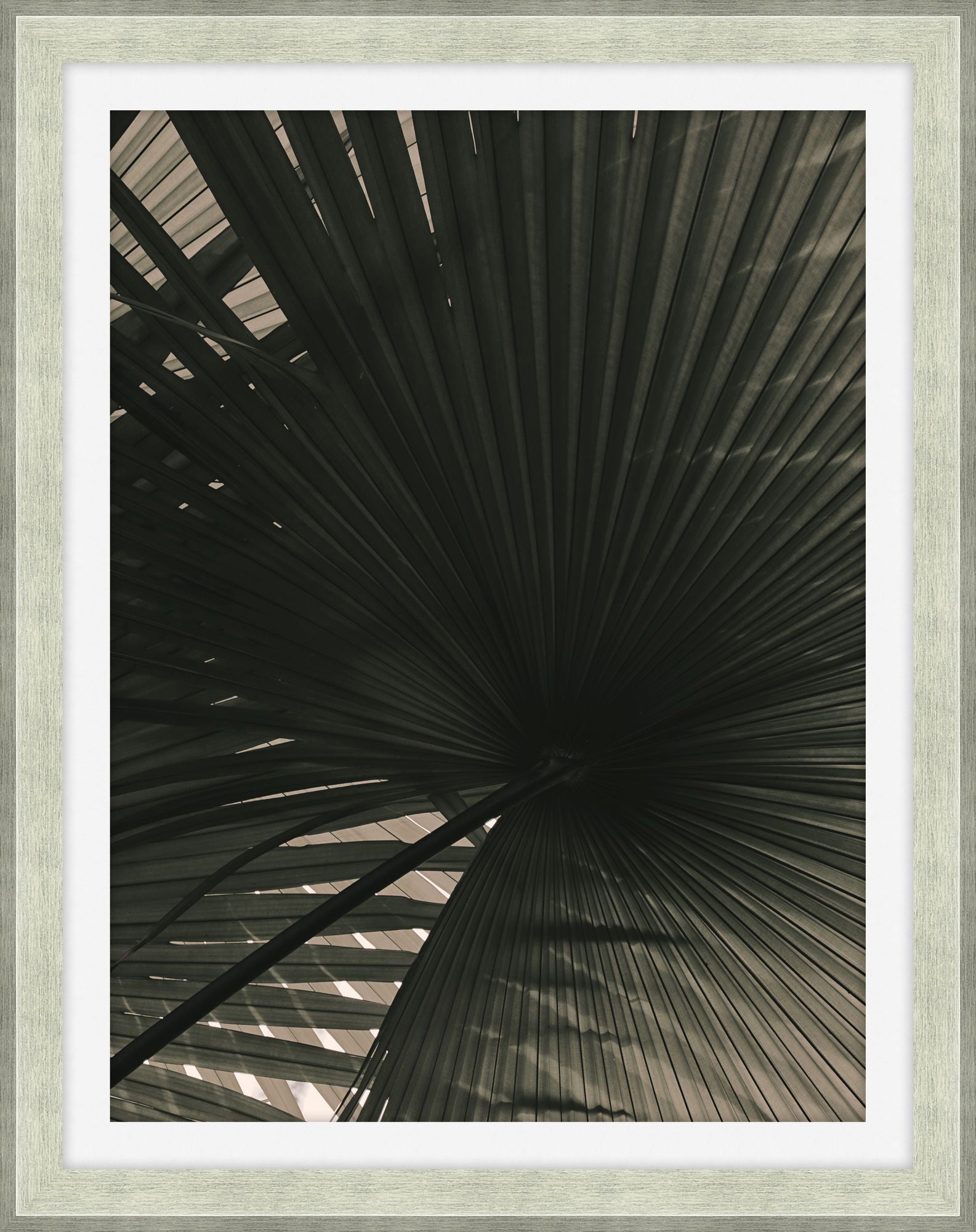 In the Shade 1 - Theodore Alexander