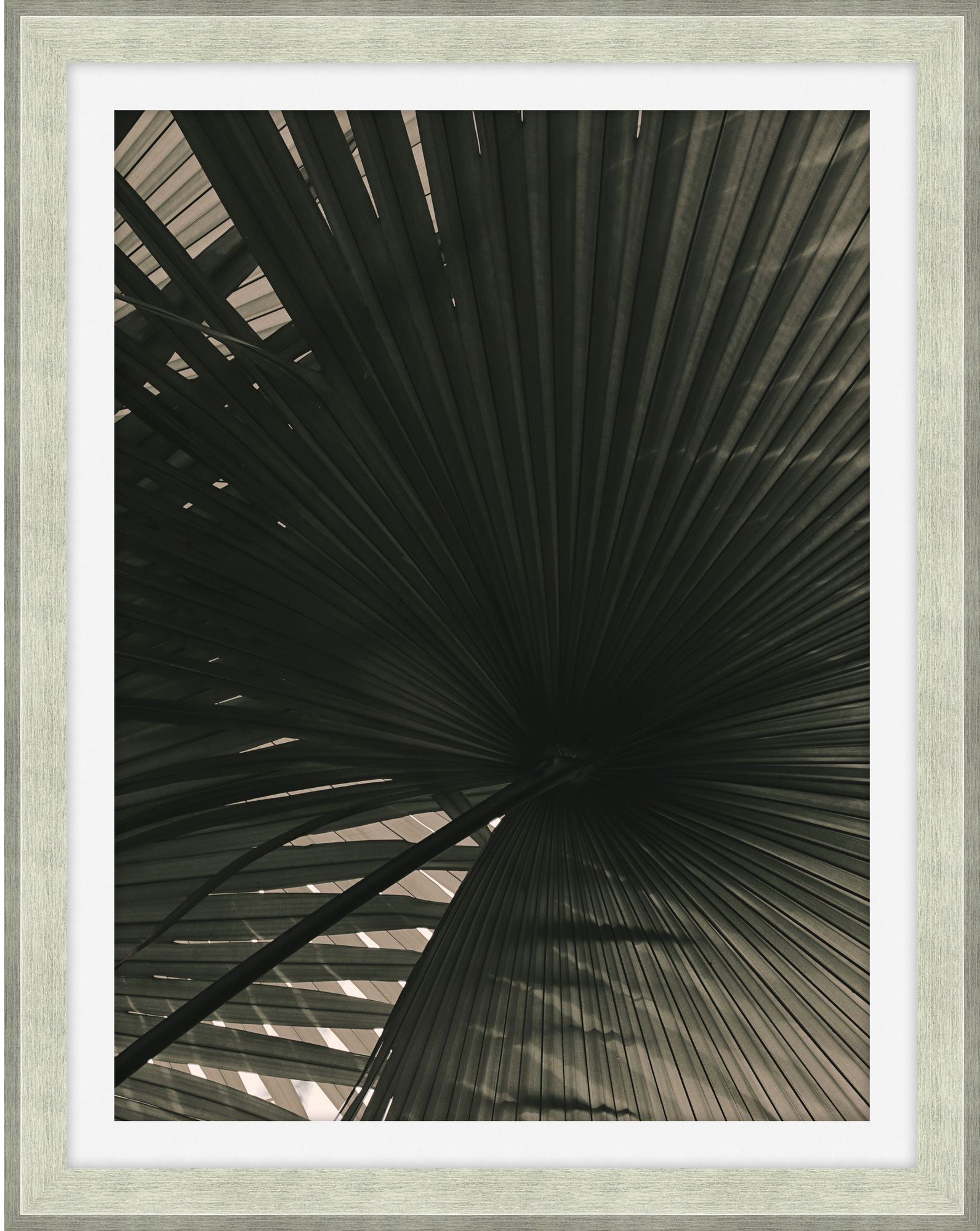 In the Shade 1 - Theodore Alexander