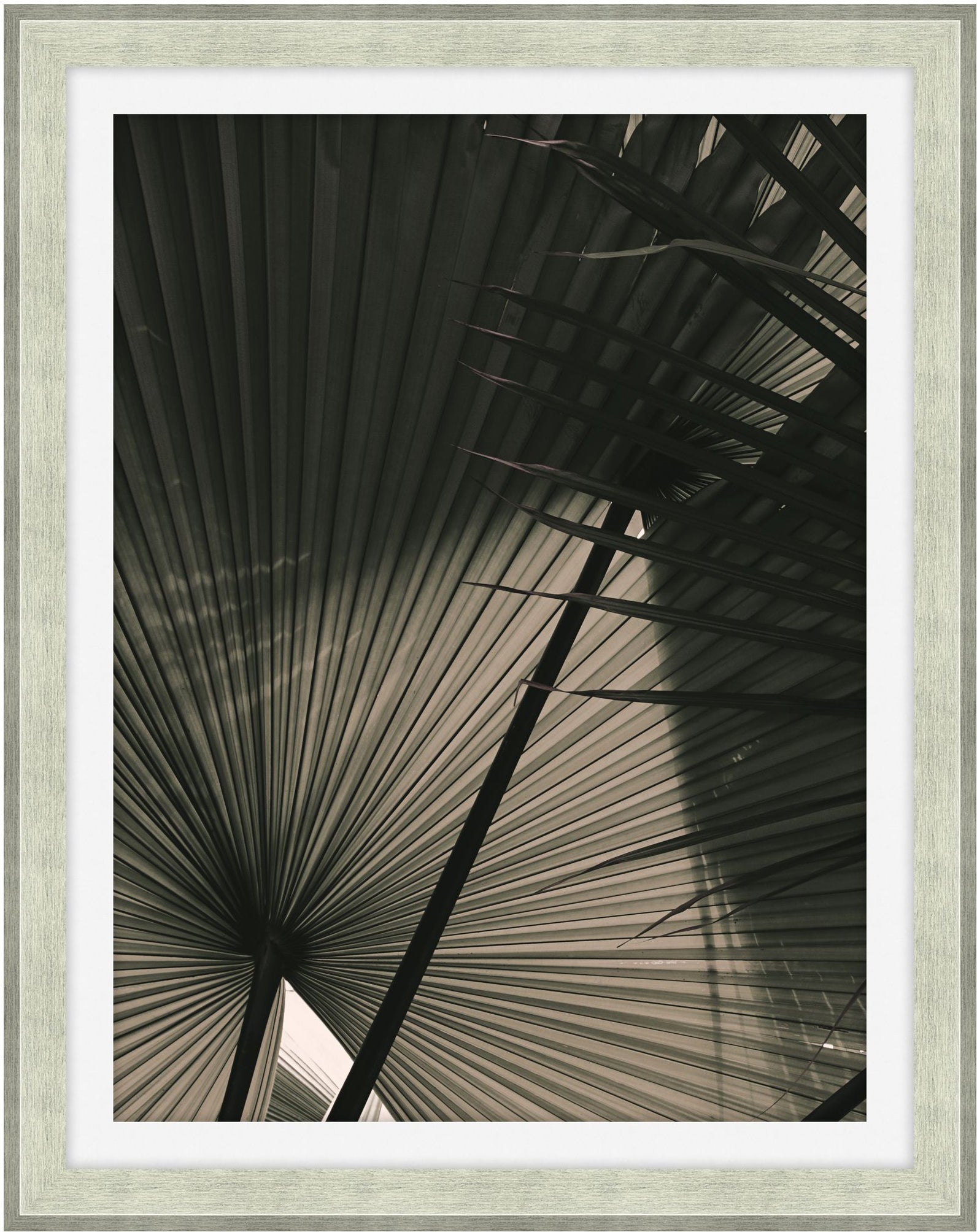 In the Shade 2 - Theodore Alexander