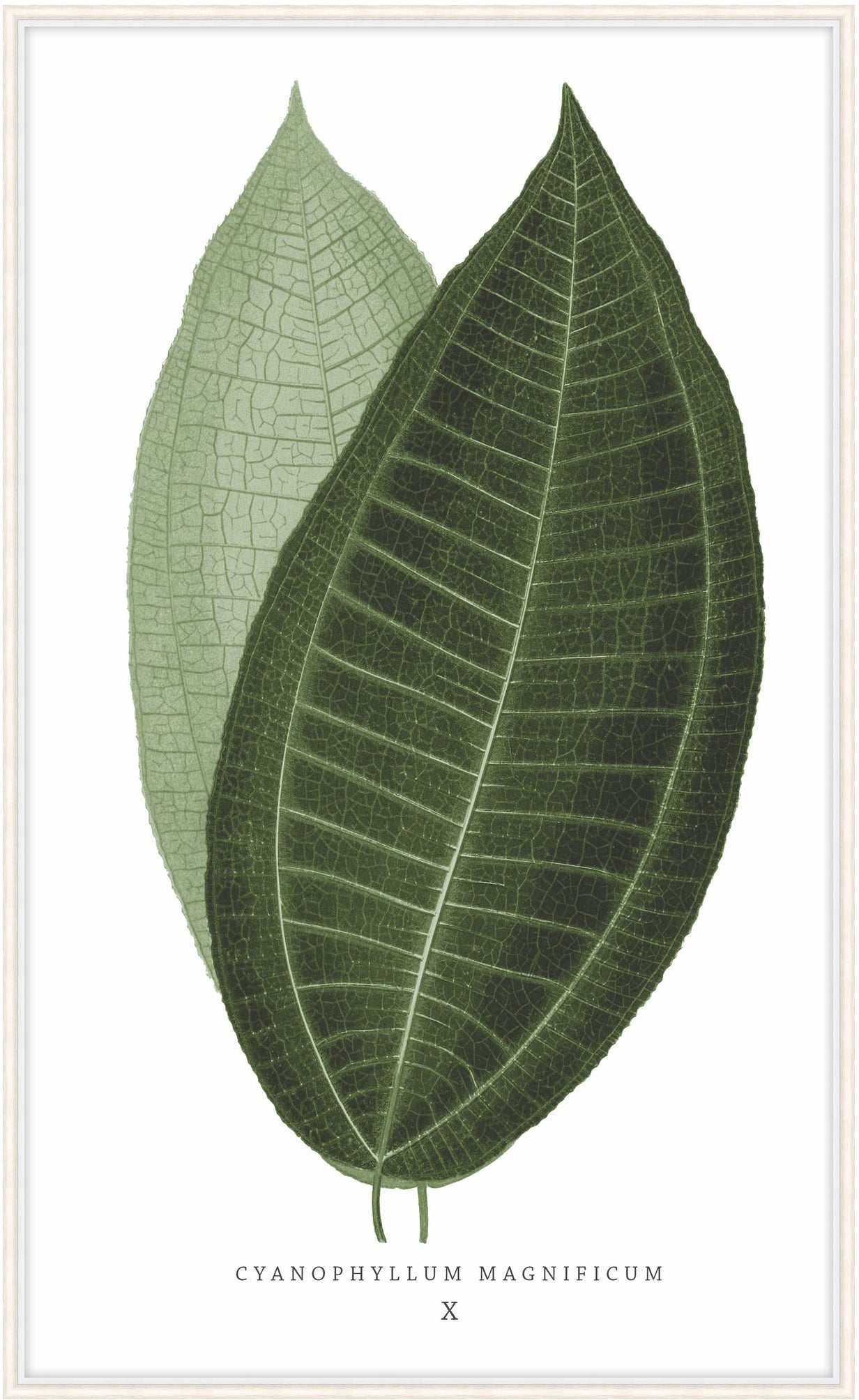 Green Trace 2 – Wall Art by Theodore Alexander | Sutter & Vale