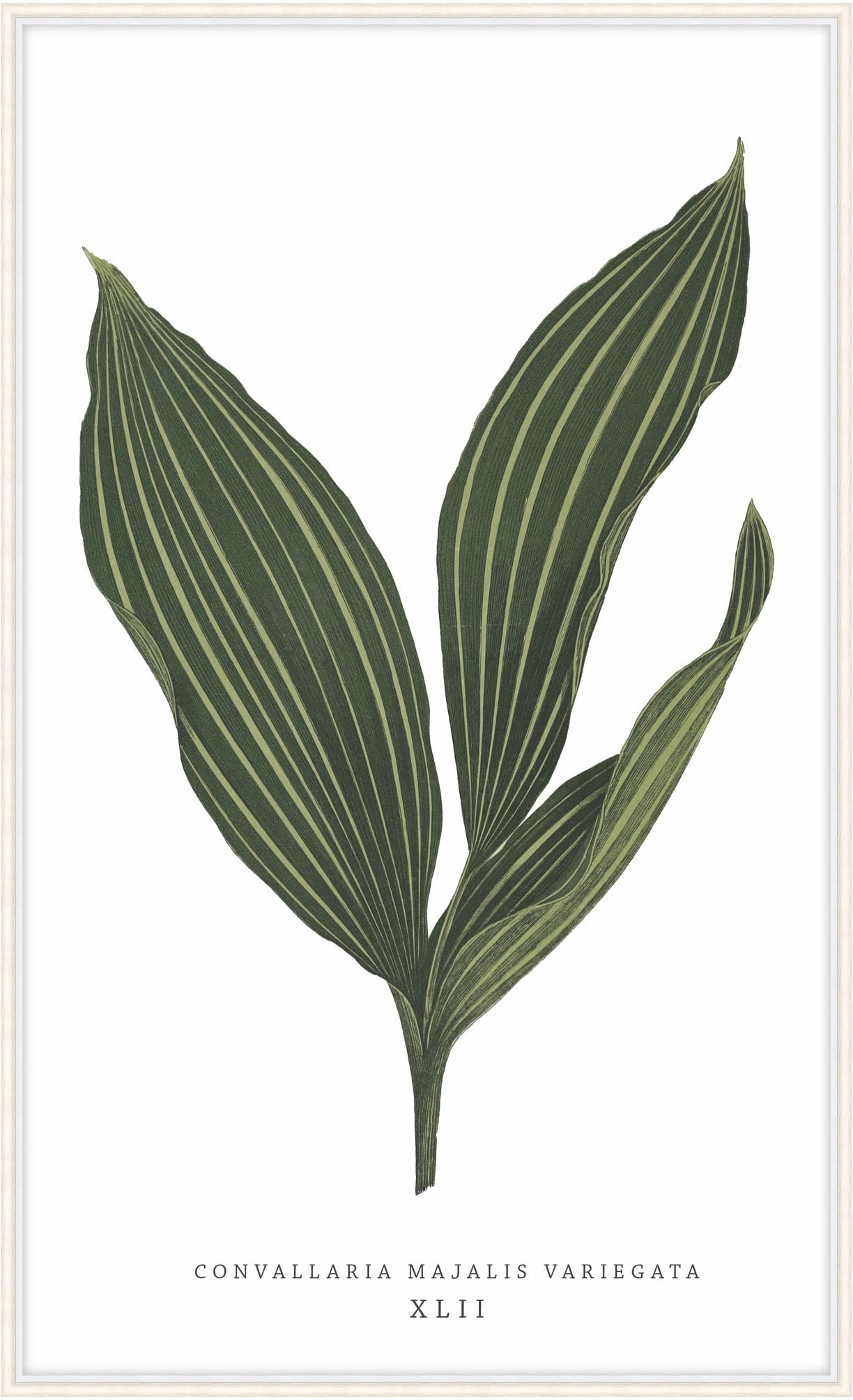 Green Trace 6 – Wall Art by Theodore Alexander | Sutter & Vale