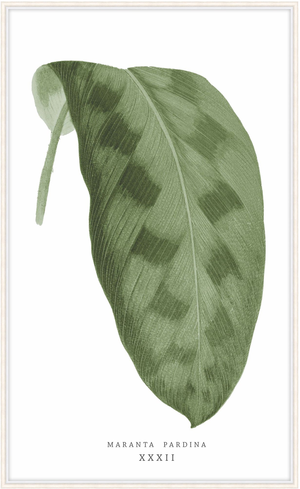 Green Trace 1 – Wall Art by Theodore Alexander | Sutter & Vale