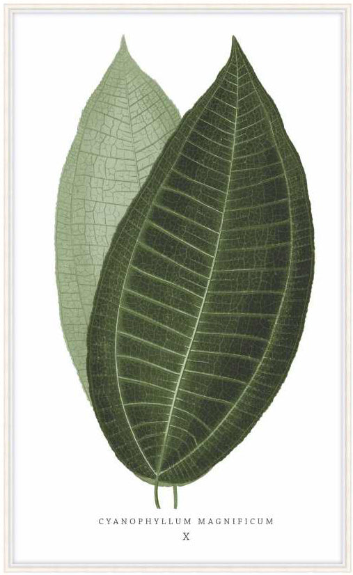 Green Trace 2 - Theodore Alexander