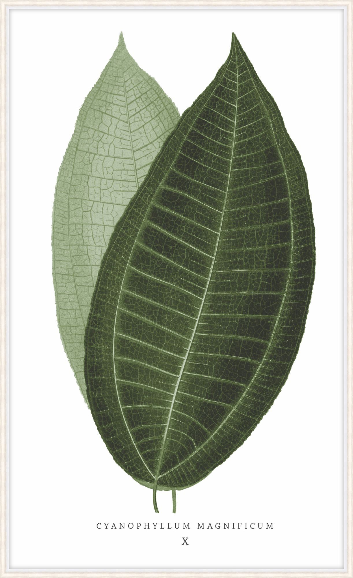 Green Trace 2 – Wall Art by Theodore Alexander | Sutter & Vale