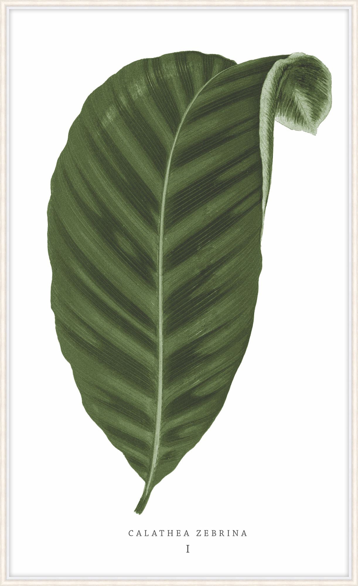 Green Trace 3 - Theodore Alexander