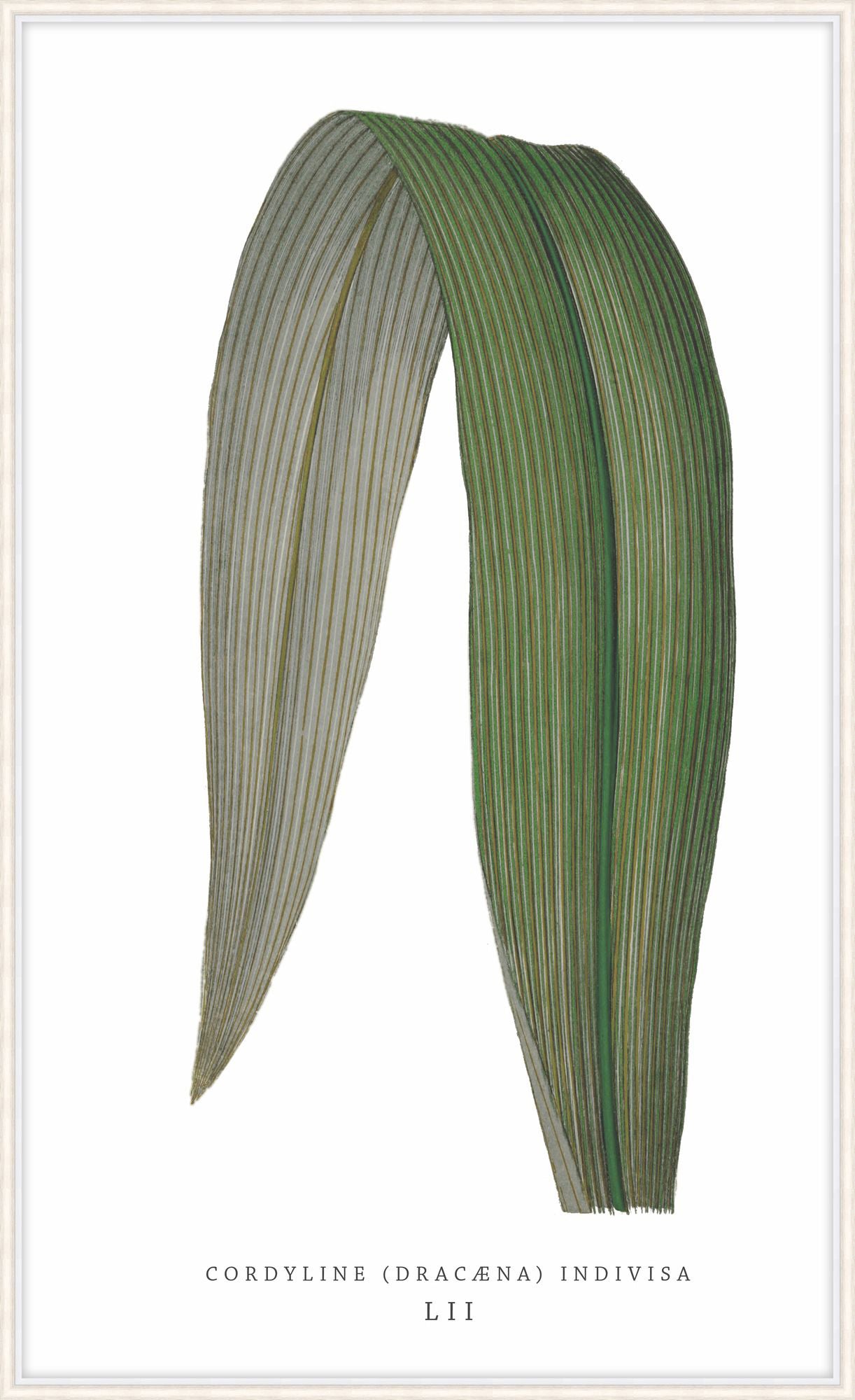 Green Trace 5 – Wall Art by Theodore Alexander | Sutter & Vale