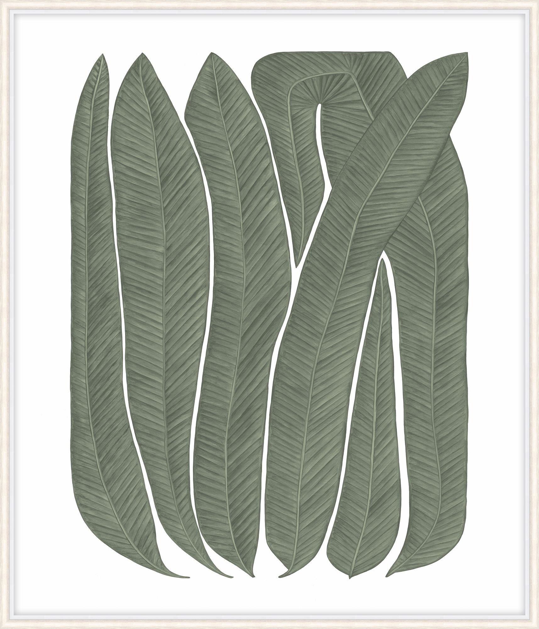 Soft Blades 1 – Wall Art by Theodore Alexander | Sutter & Vale