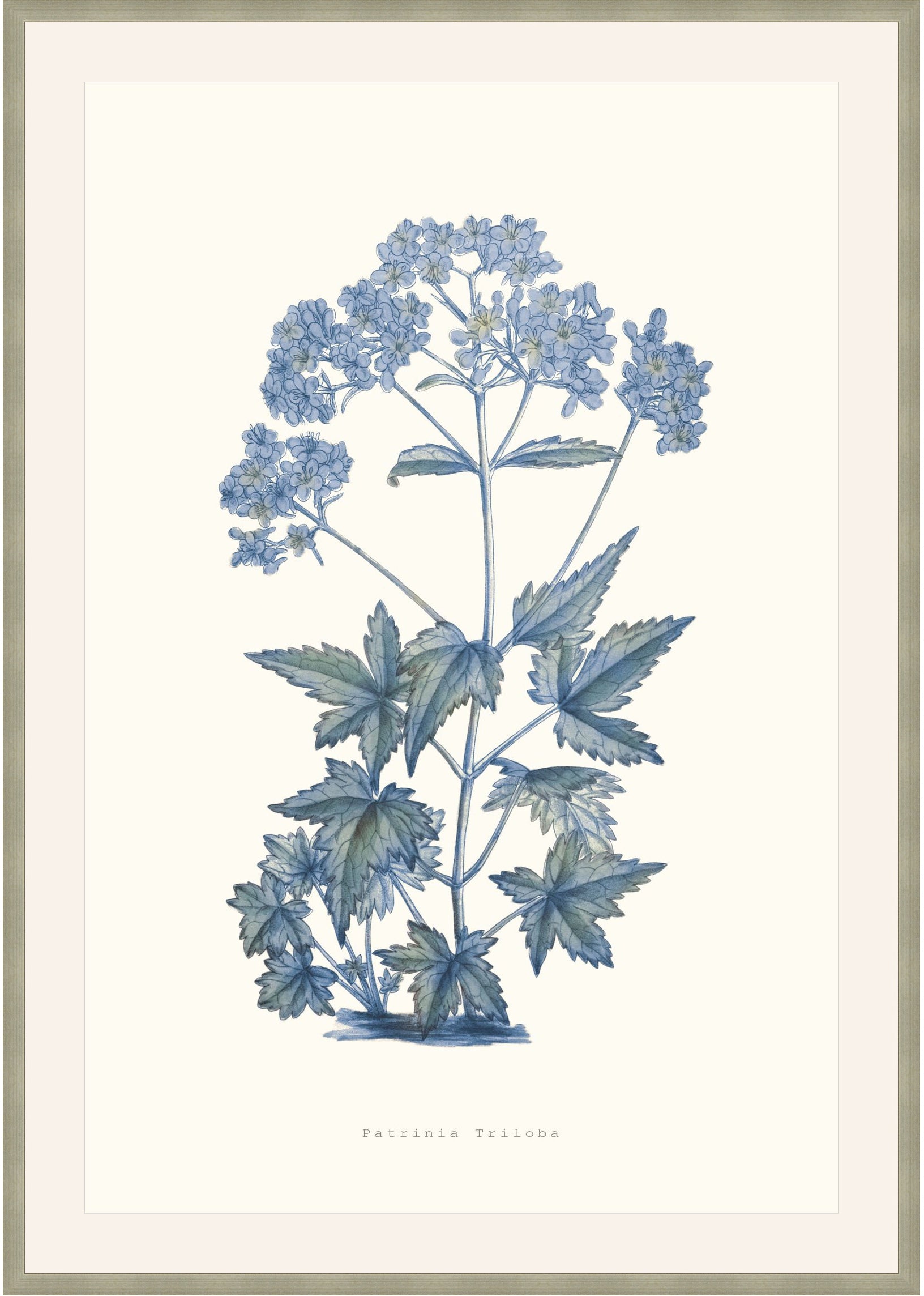 Bouquet Blue 6 - Theodore Alexander