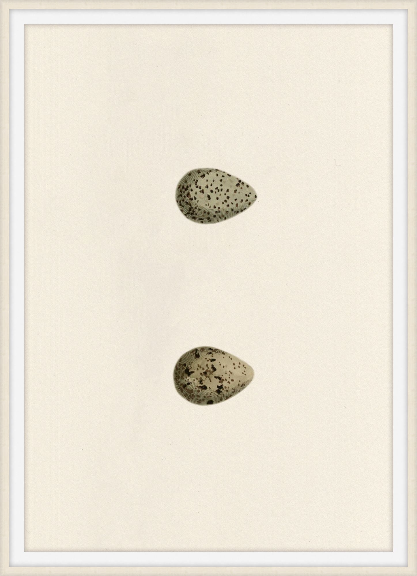 Unhatched 1 - Theodore Alexander