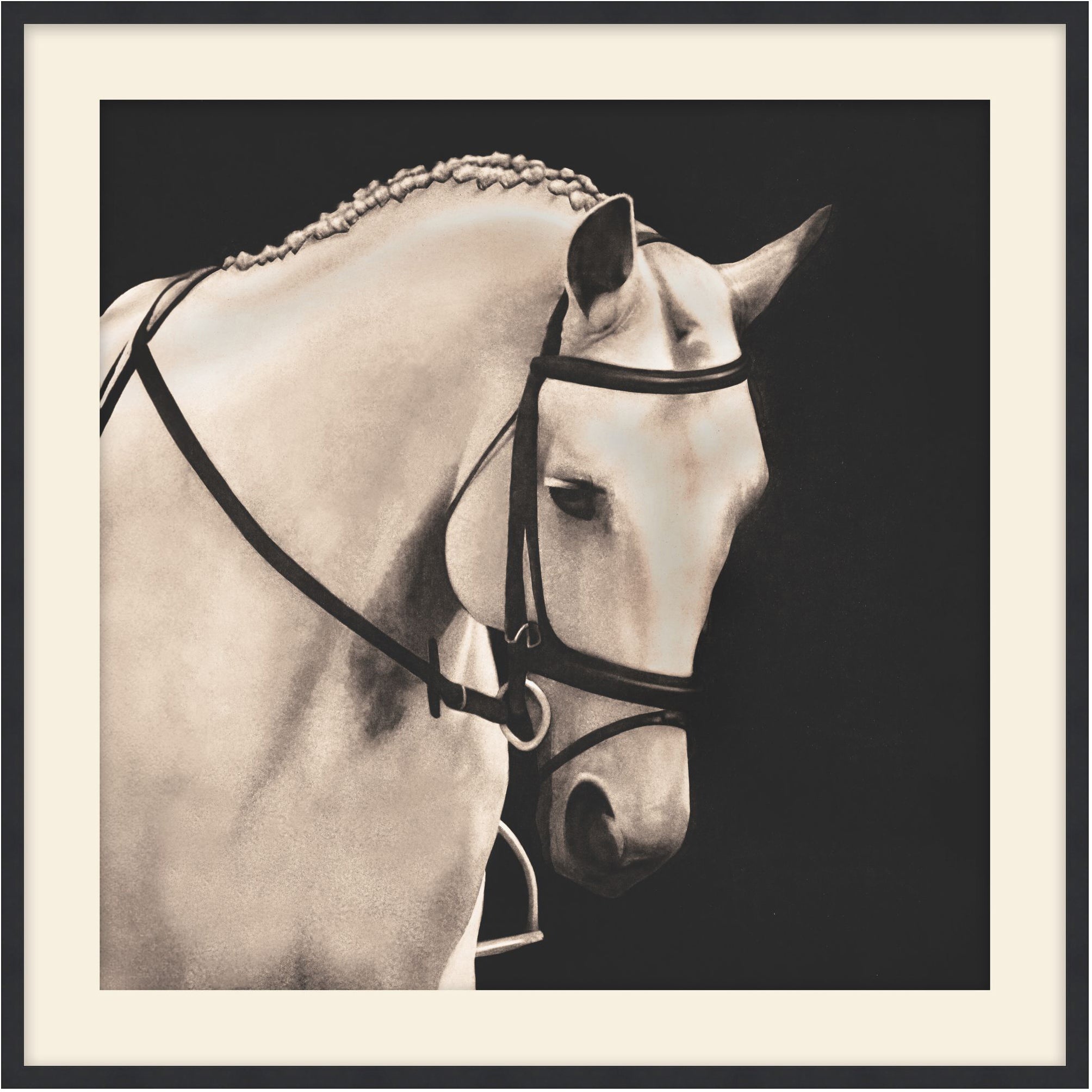 Comrade 2 - Theodore Alexander