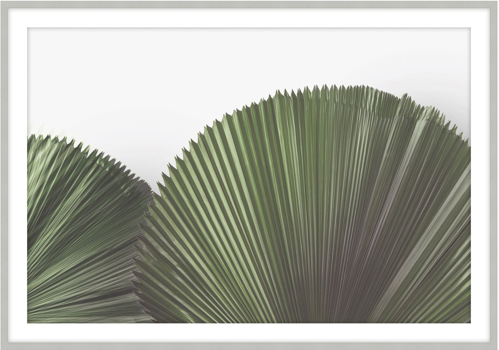 Tropical Leaves 4 - Theodore Alexander