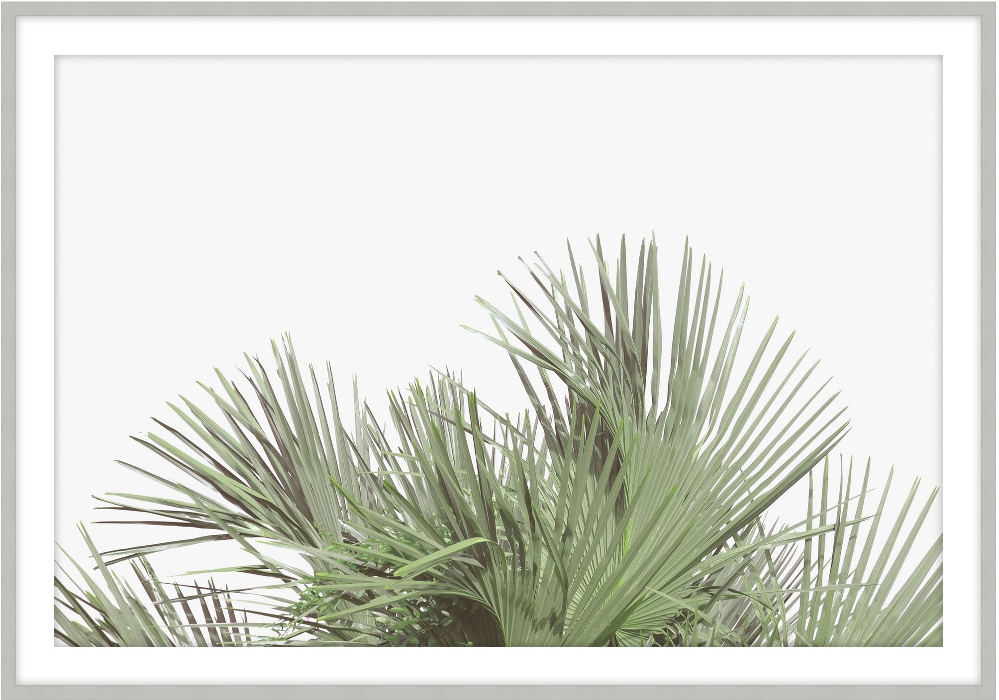 Tropical Leaves 5 - Theodore Alexander