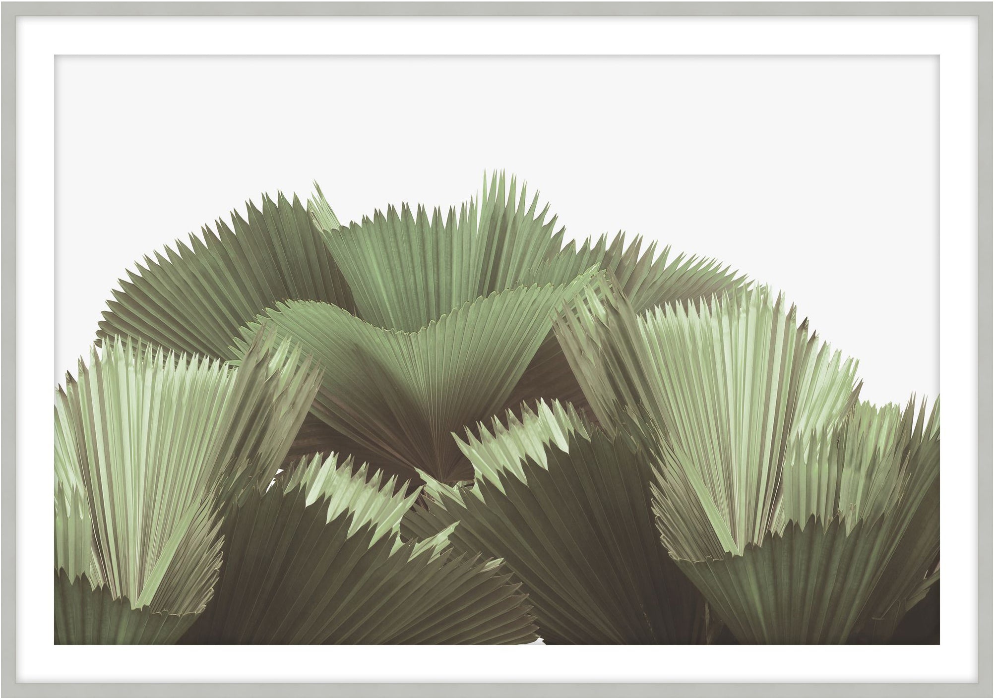 Tropical Leaves 1 - Theodore Alexander