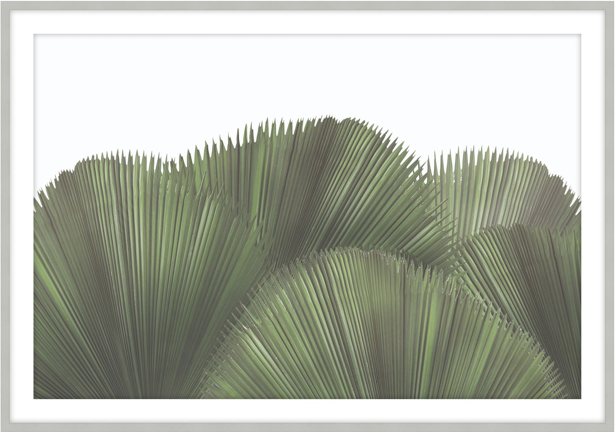 Tropical Leaves 3 - Theodore Alexander