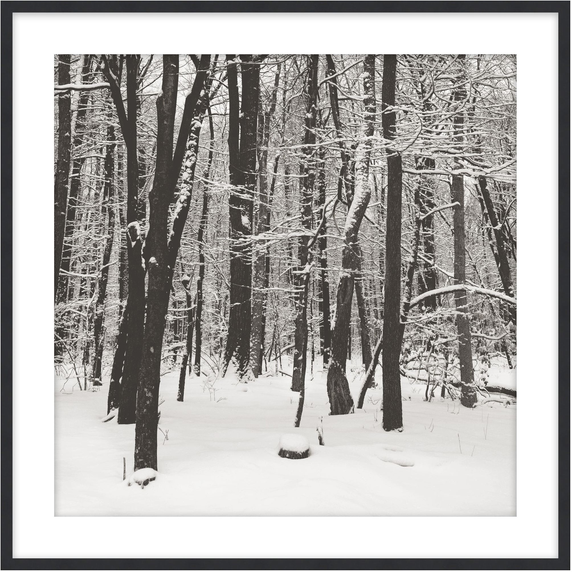 Snowscape 5 - Theodore Alexander